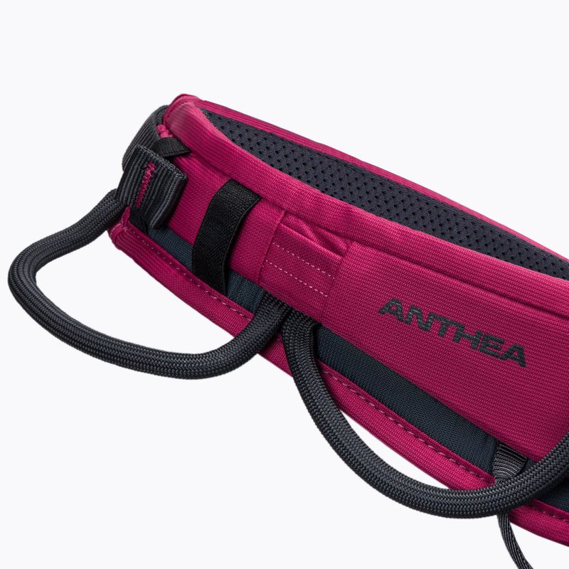 Uprząż wspinaczkowa damska Climbing Technology Anthea cyclamen/anthracite 3