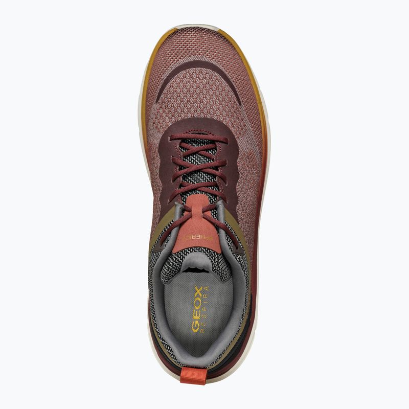 Buty męskie Geox wine/dark coffee 11
