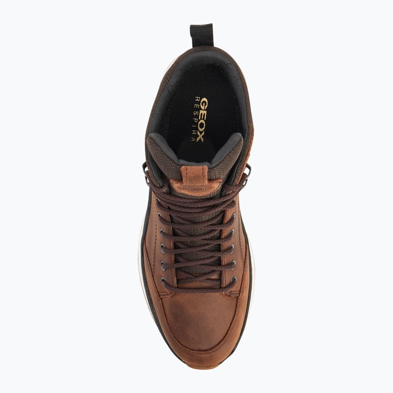 Buty męskie Geox Spherica™ Actif X2 ABX coffe/black 5