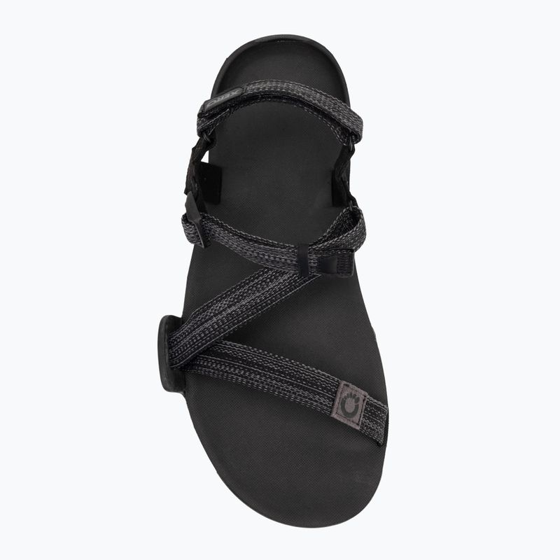 Sandały barefoot męskie Xero Shoes Z-Trail EV multi/black 5