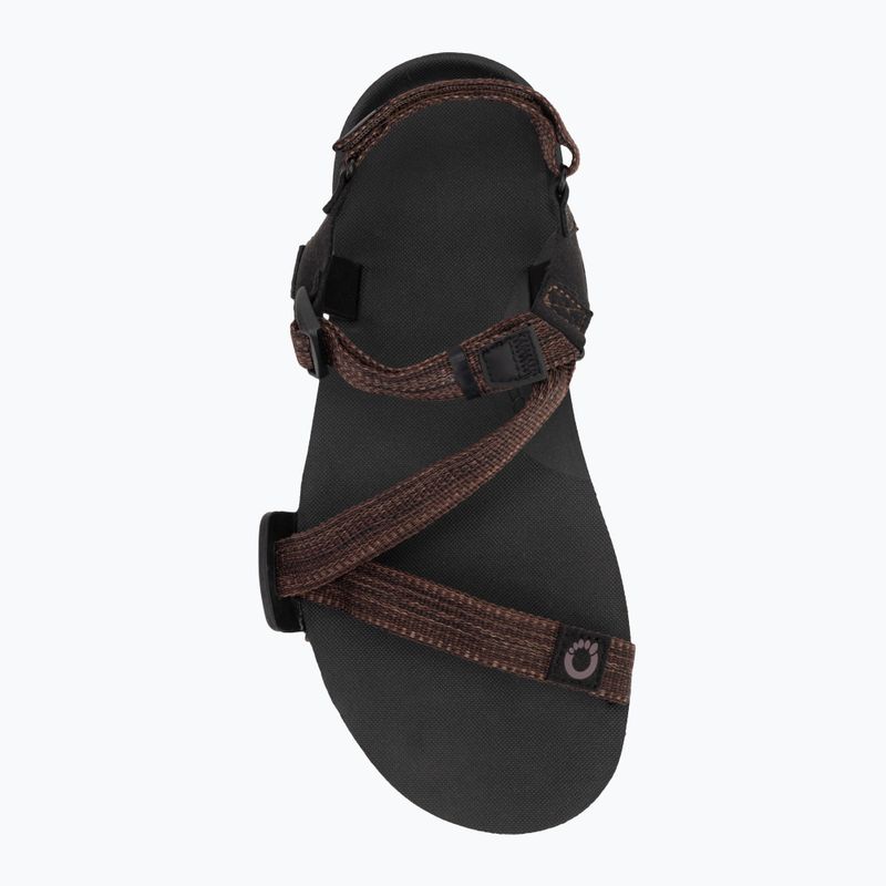 Sandały barefoot męskie Xero Shoes Z-Trail EV multi/brown 5