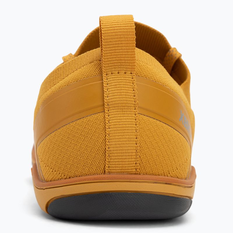 Buty barefoot męskie Xero Shoes Nexus Knit gold 6