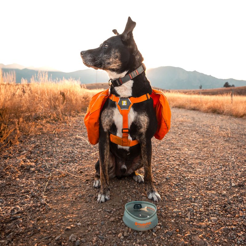 Miska dla psa HydraPak Rover sutro green 4