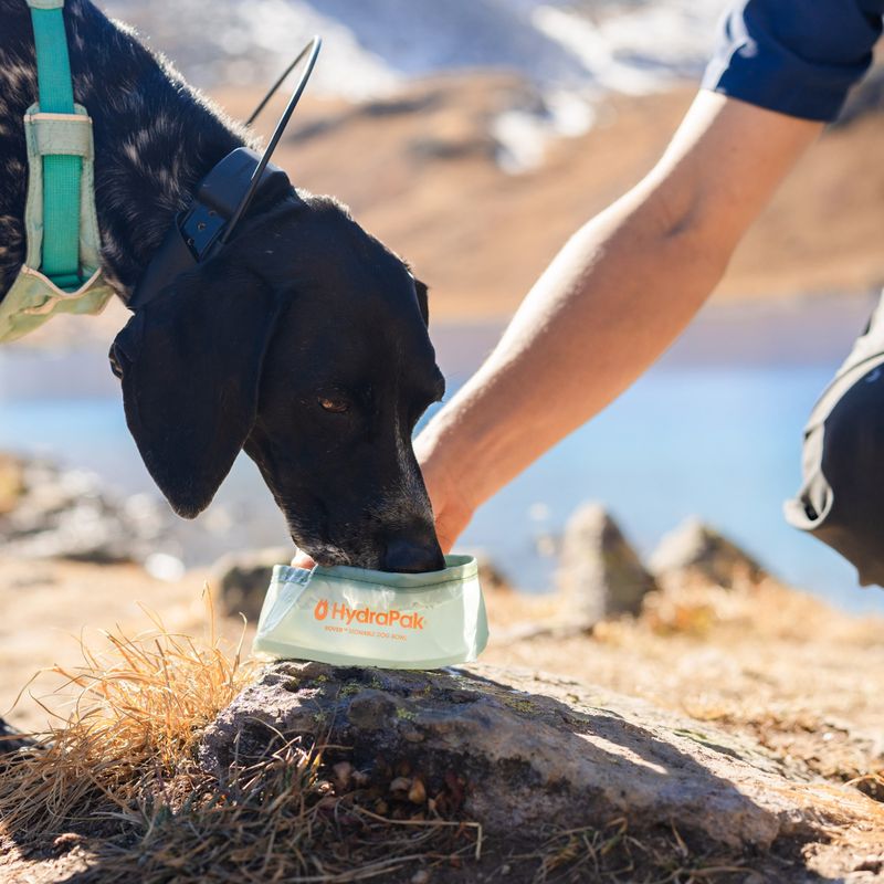 Miska dla psa HydraPak Rover sutro green 6