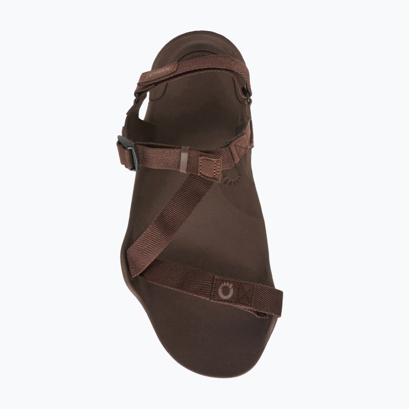 Sandały barefoot męskie Xero Shoes Z-Trek brown 7