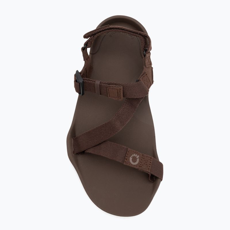 Sandały barefoot męskie Xero Shoes Z-Trek brown 5