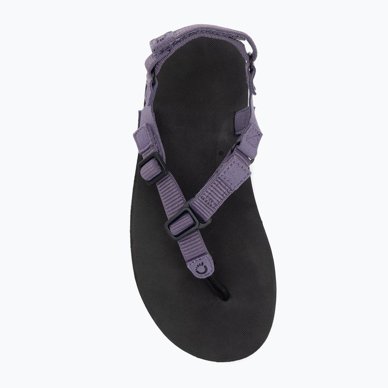 Sandały barefoot damskie Xero Shoes H-Trail sage purple 5