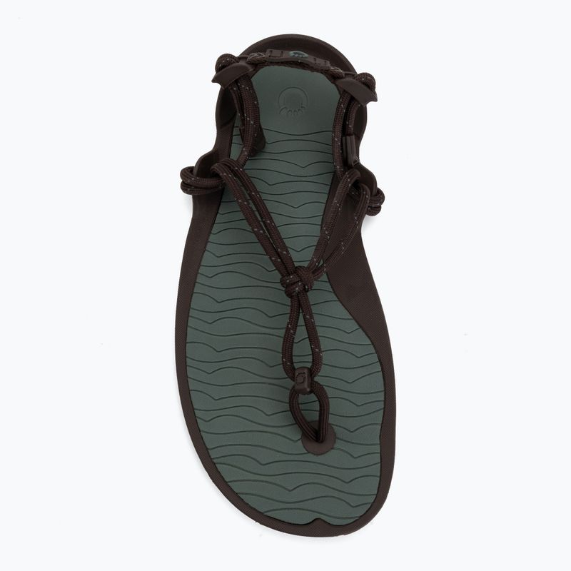 Sandały barefoot męskie Xero Shoes Aqua Cloud java/brown/dark/forest 5