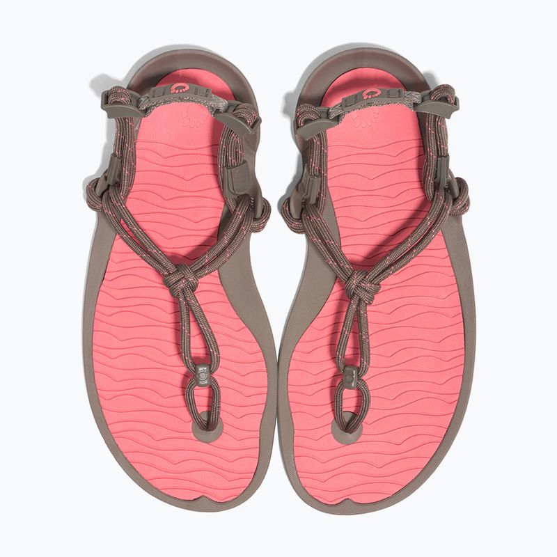 Sandały barefoot damskie Xero Shoes Aqua Cloud moel/sunset coral 8