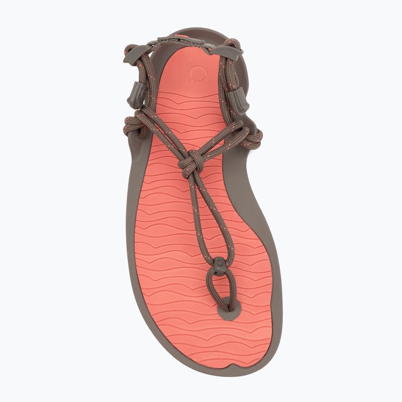 Sandały barefoot damskie Xero Shoes Aqua Cloud moel/sunset coral 5