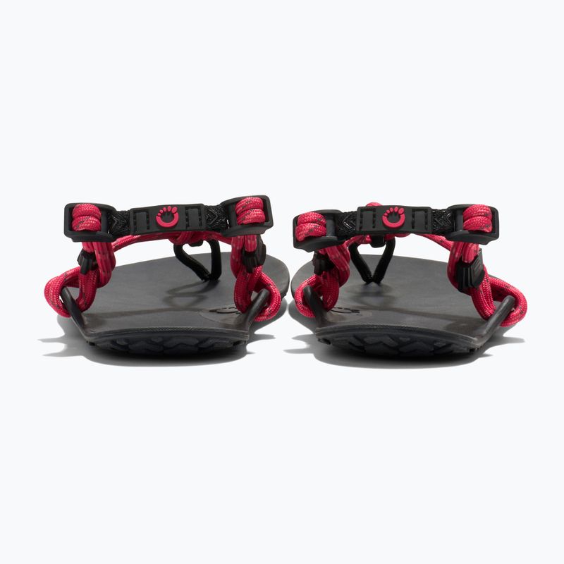 Sandały barefoot damskie Xero Shoes Genesis raspberry 4