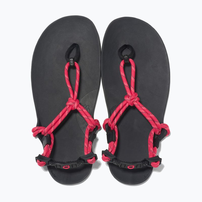 Sandały barefoot damskie Xero Shoes Genesis raspberry 5