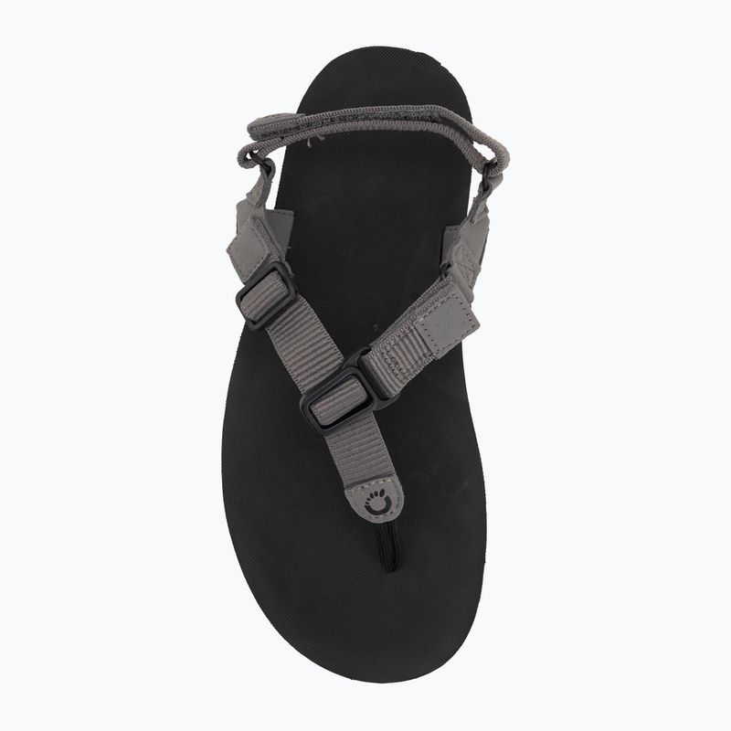 Sandały barefoot męskie Xero Shoes H-Trail steel gray/blue/lolite 5