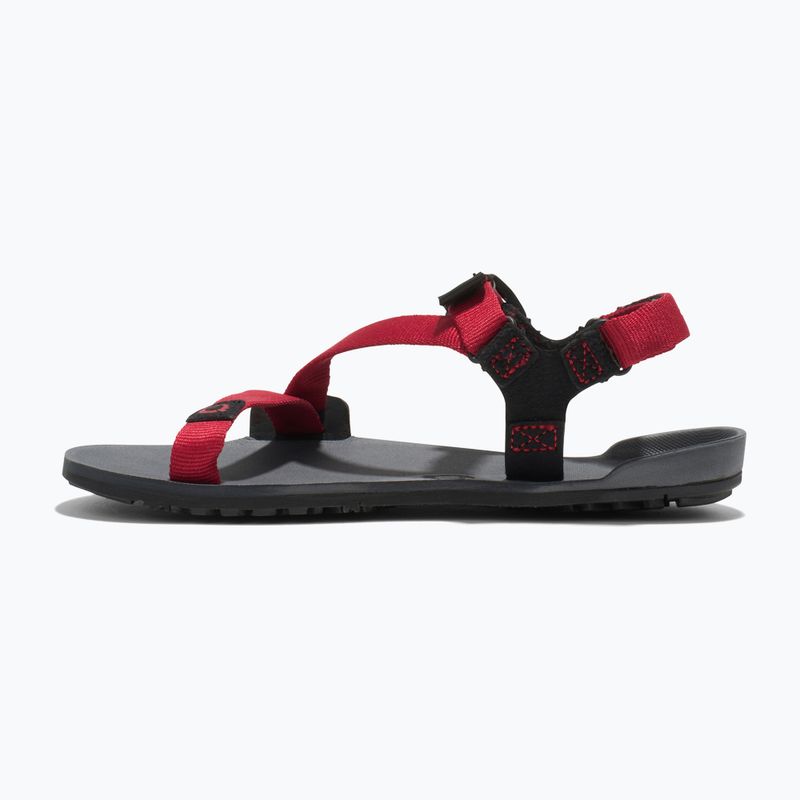 Sandały barefoot dziecięce Xero Shoes Z-Trail charcoal/red pepper 2
