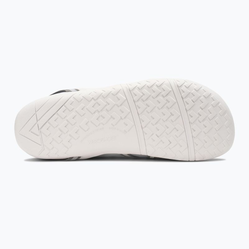 Buty barefoot damskie Xero Shoes Speed Force II alloy/silver 5
