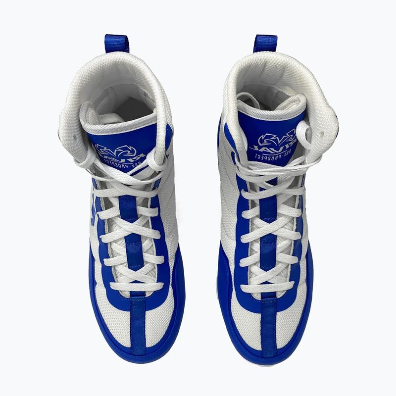 Buty bokserskie Rival RSX-Prospect white/blue 5