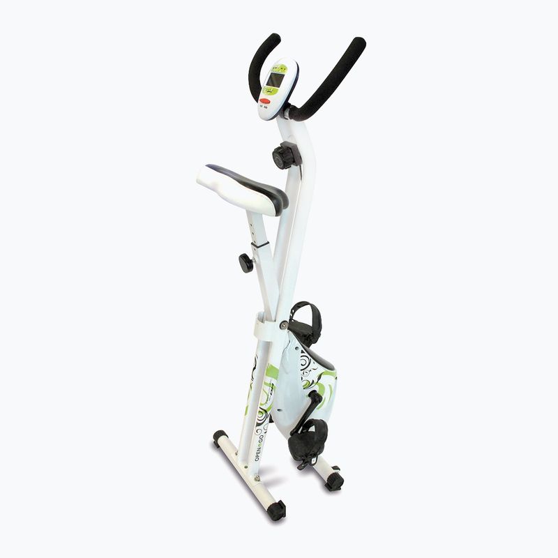 Rower stacjonarny BH Fitness Open&Go 3