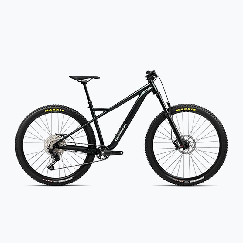 Rower górski Orbea Laufey H10 2023 dark green