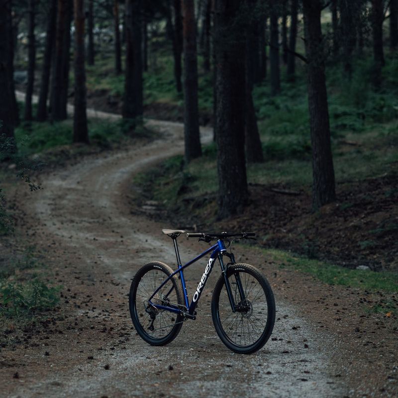 Rower górski Orbea Onna 50 29 2022 blue/white 8