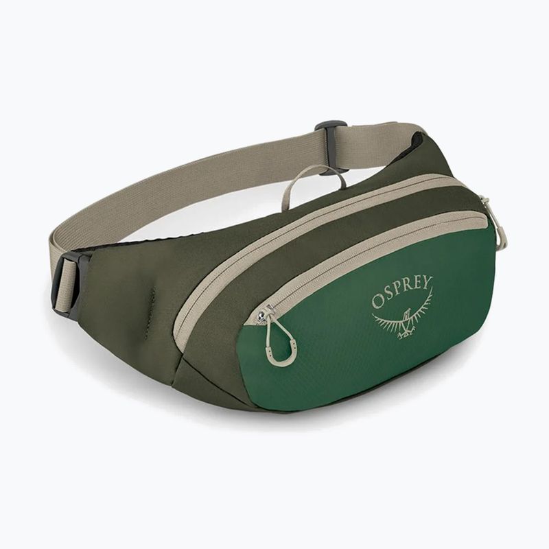 Saszetka nerka Osprey Daylite Waist green canopy/green creek 2