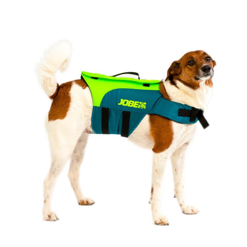 Kamizelka asekuracyjna dla psa JOBE Pet Vest lime/teal 2