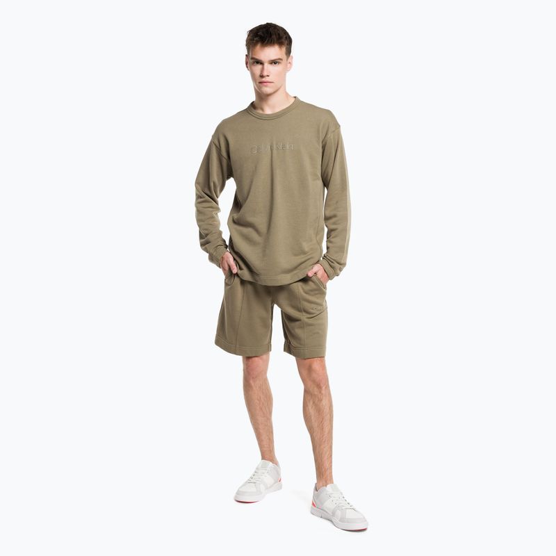 Bluza męska Calvin Klein Pullover gray olive 2