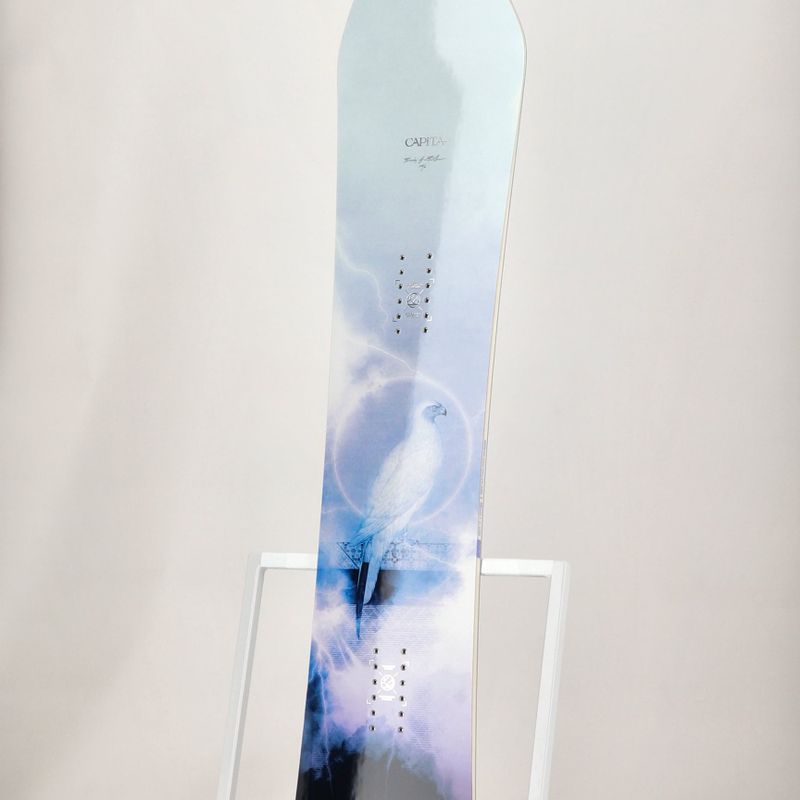Deska snowboardowa damska CAPiTA Birds Of A Feather 11