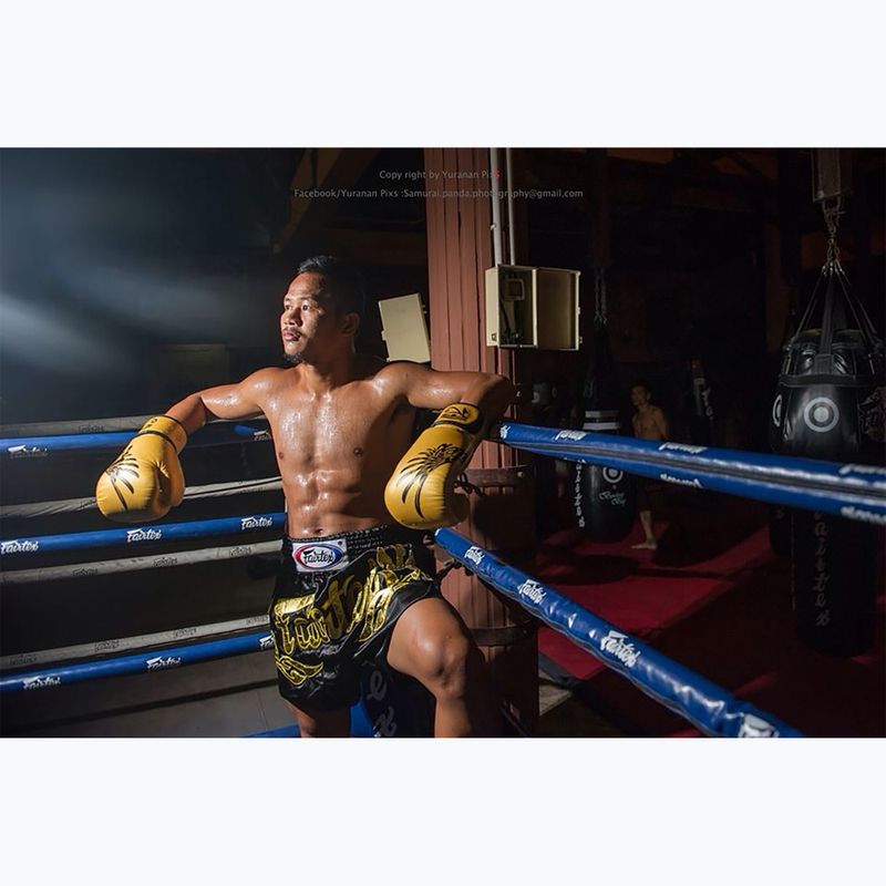 Rękawice bokserskie Fairtex Universal "Tight-Fit" Design Falcon gold 3