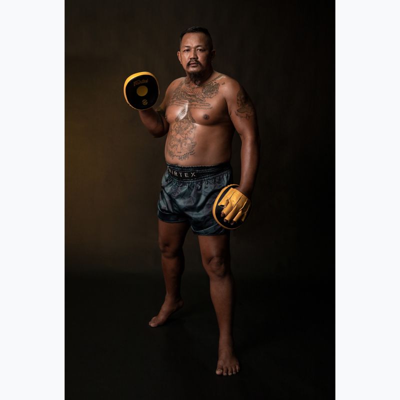 Łapy treningowe Fairtex Speed & Accuracy Focus Mitts black/golden 4