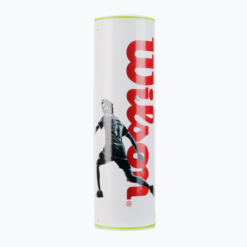 Lotki do badmintona Wilson Dropshot 6 szt. yellow