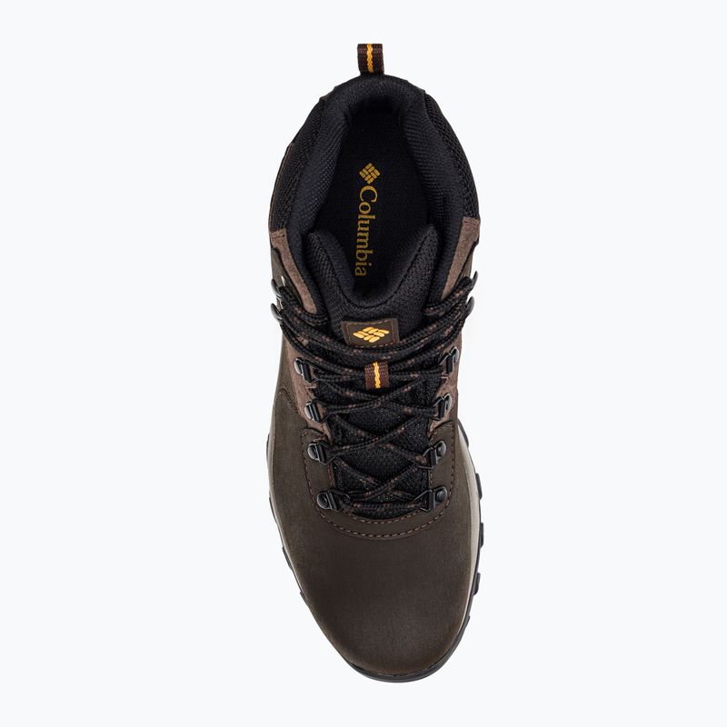 Buty trekkingowe męskie Columbia Newton Ridge Plus II Wp cordovan/squash 6