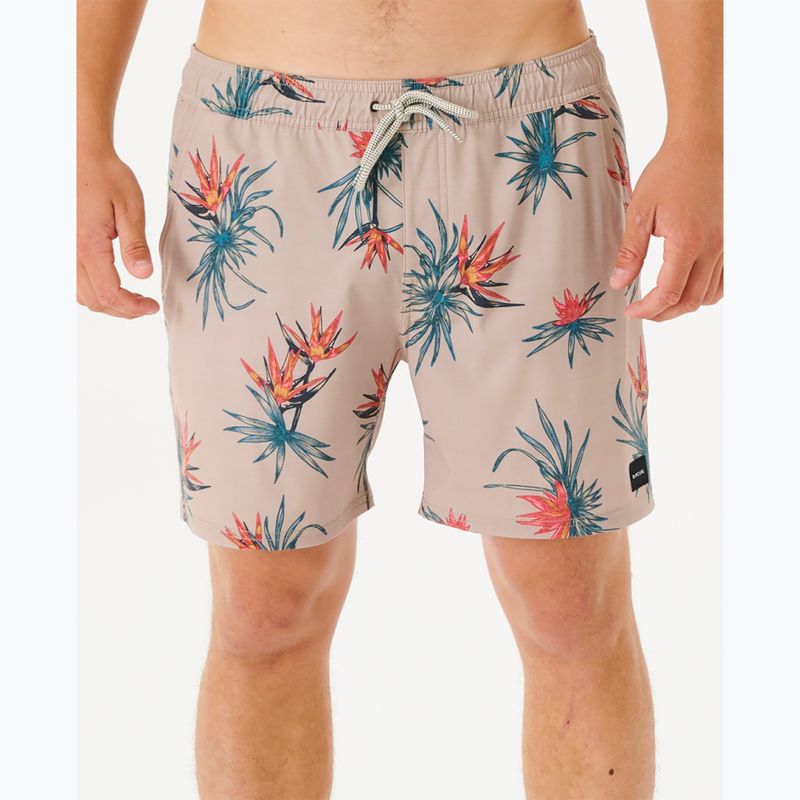 Szorty kąpielowe męskie Rip Curl Paradiso Volley taupe 4
