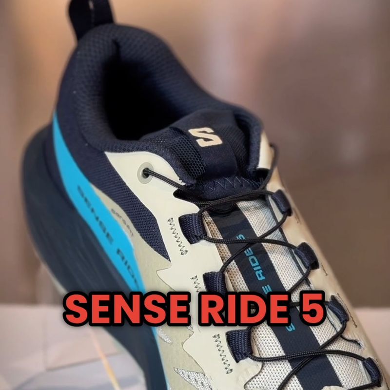 Buty do biegania męskie Salomon Sense Ride 5 alfalfa/carbon/peacock blue 15