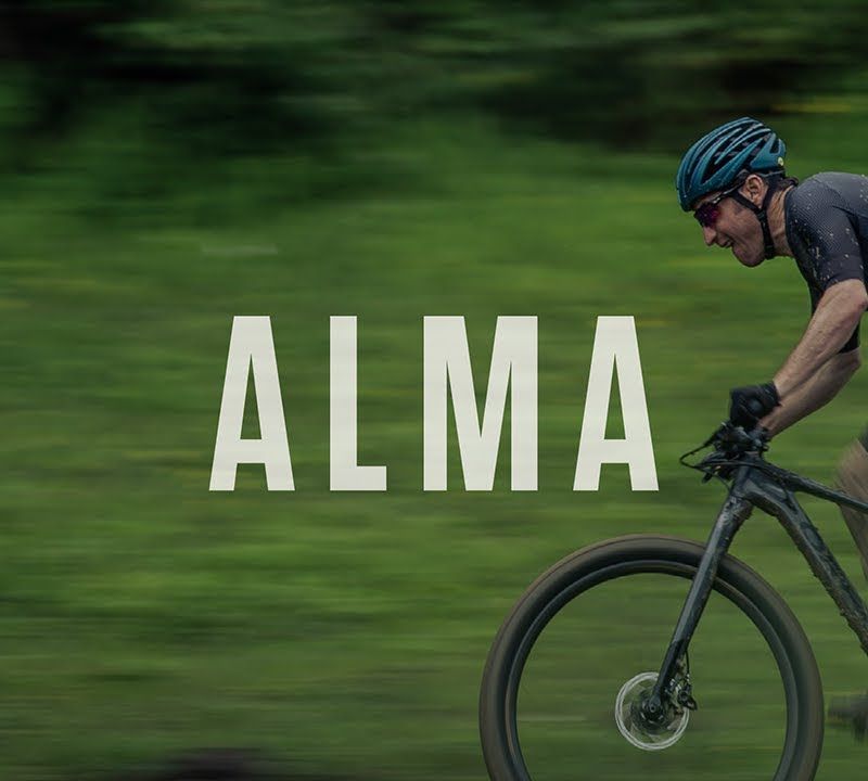 Rower górski Orbea Alma M21 2023 black/black 3