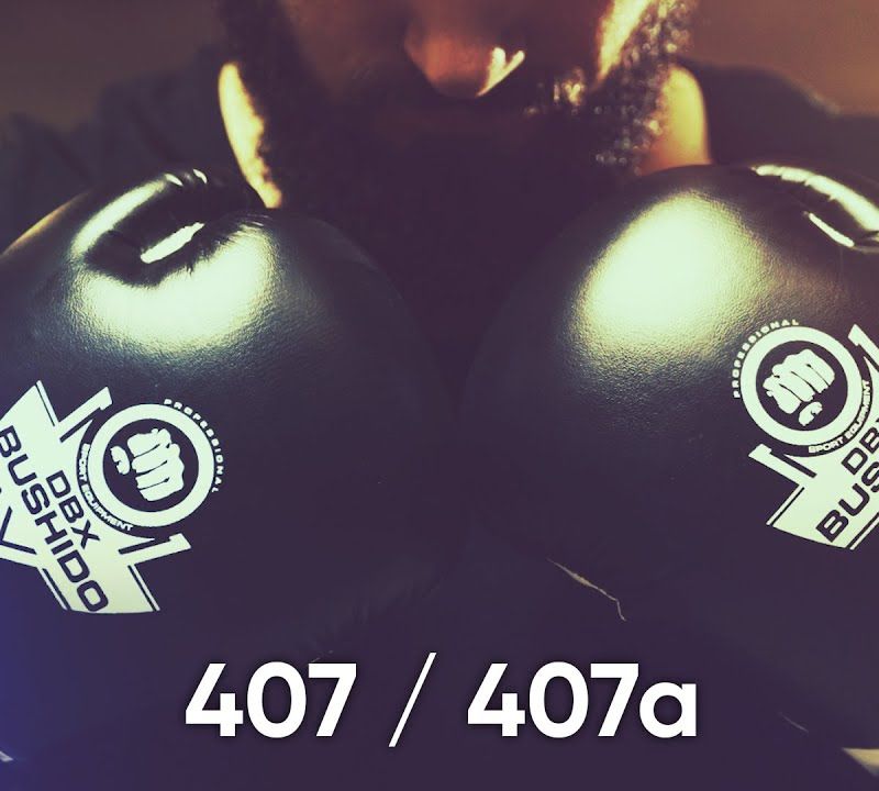 Rękawice bokserskie DBX BUSHIDO ARB-407 czarne/białe 23