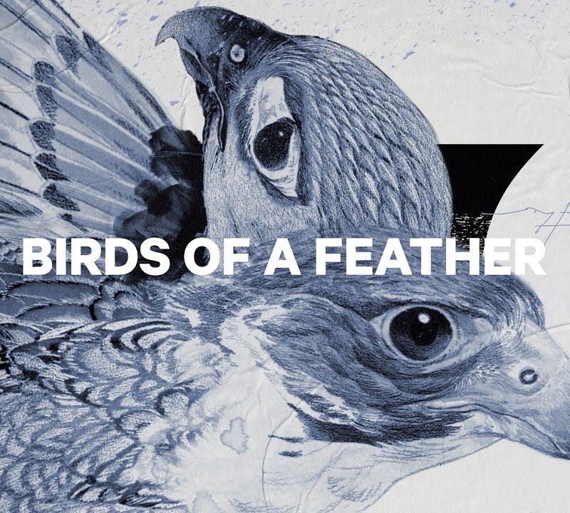 Deska snowboardowa damska CAPiTA Birds Of A Feather Wide 5