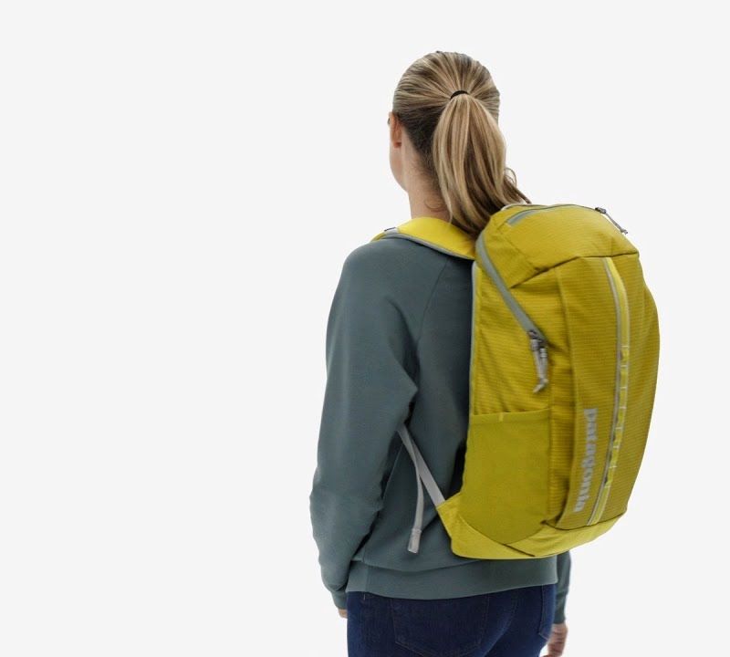 Plecak miejski Patagonia Black Hole Pack 25 l pale periwinkle 7