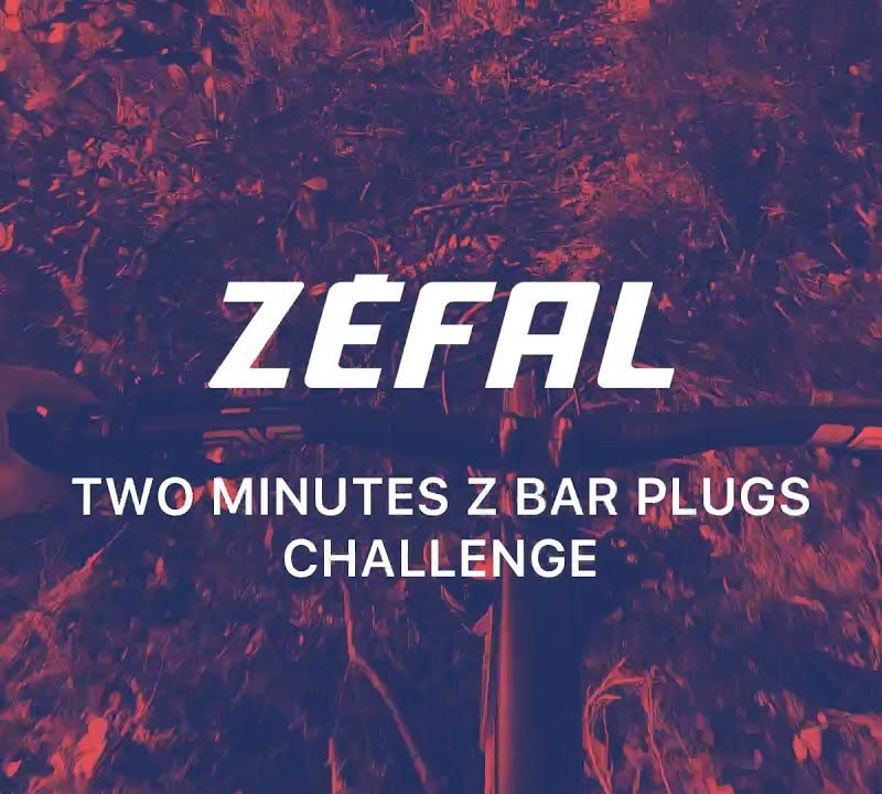 Łatki do opon bezdętkowych Zefal Z Bar Plugs Tubeless Repair Kit 9