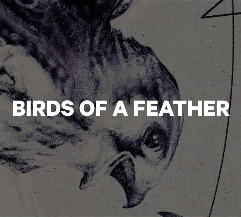 Deska snowboardowa damska CAPiTA Birds Of A Feather 2021 13