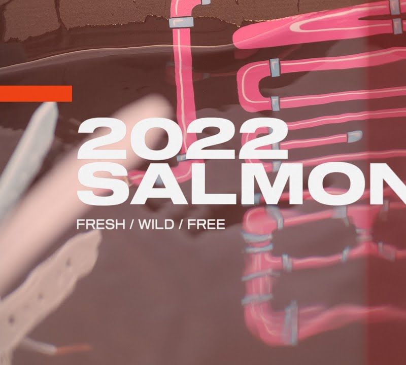Deska wakeboardowa Slingshot Salmon niebieska/czarna/różowa 9