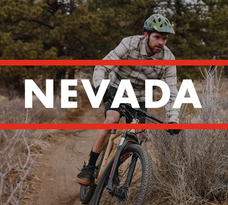 Rower górski Fuji Nevada 29 1.3 satin silver 5