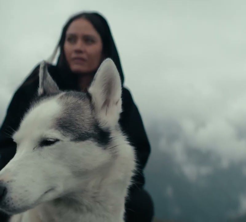 Box dachowy Thule Motion 3 L black glossy 14