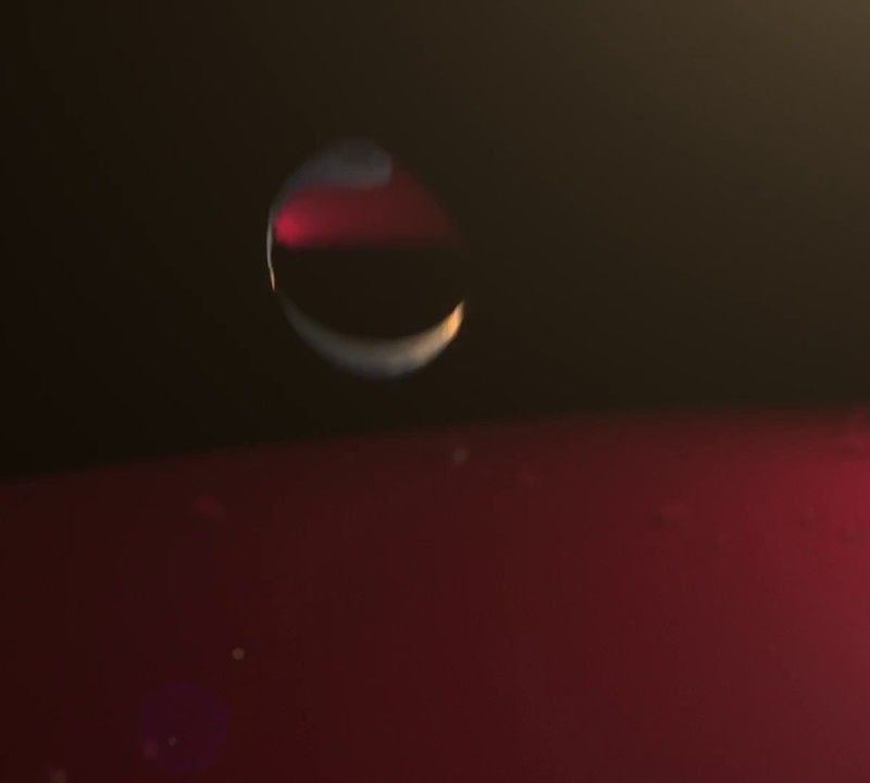 Kurtka żeglarska męska Helly Hansen Crew Hooded Midlayer white 10