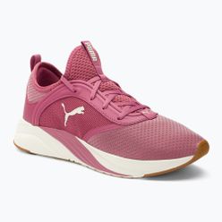 Buty do biegania damskie PUMA Softride Ruby różowe 377050 04