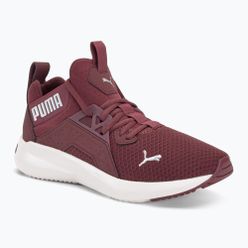 Buty do biegania damskie PUMA Softride Enzo Nxt bordowe 195235 17