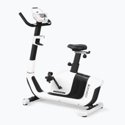 Rower stacjonarny Horizon Fitness Comfort 3 100818