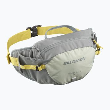 Saszetka nerka Salomon Trailblazer 4 l sedona sage/seagrass/cress green