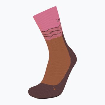 Skarpety damskie icebreaker Merino Hike+ Medium Crew Across the Peaks pop/carob