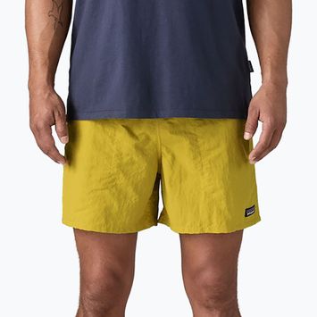Spodenki męskie Patagonia Baggies 5" bundle green