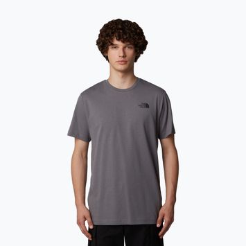Koszulka męska The North Face Redbox Celebration smoked pearl